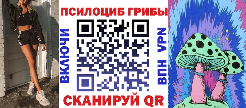 Купить где Асбест Галлюциногенные грибы мицелий